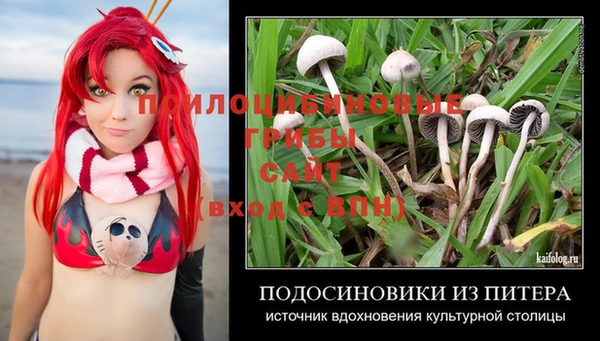 амф Кинешма