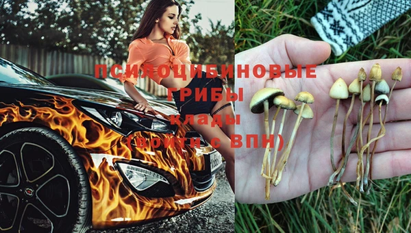 прущая мука Киренск