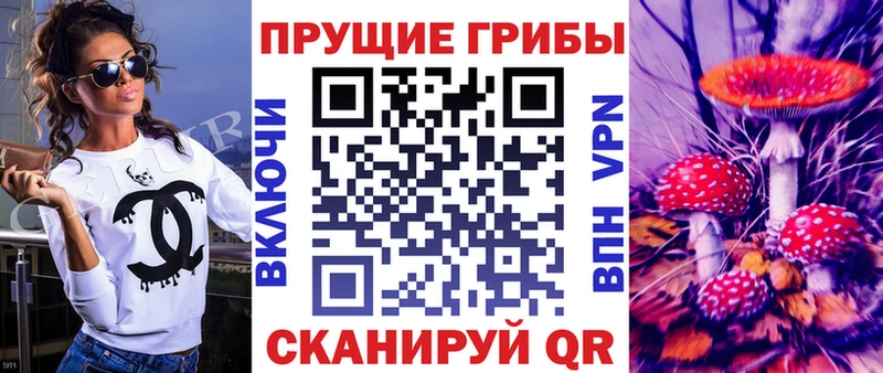 Галлюциногенные грибы Psilocybine cubensis  Купить где  Бикин 